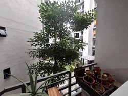 Glendale Park (D23), Condominium #630756491